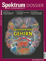 2011 Dossier 2